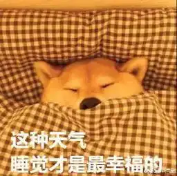 来进被窝表情包天气预报