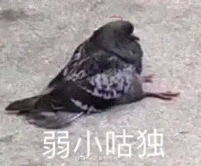 表情包你仿佛在逗我笑