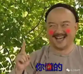 大哥霍皮久系列表情包陈