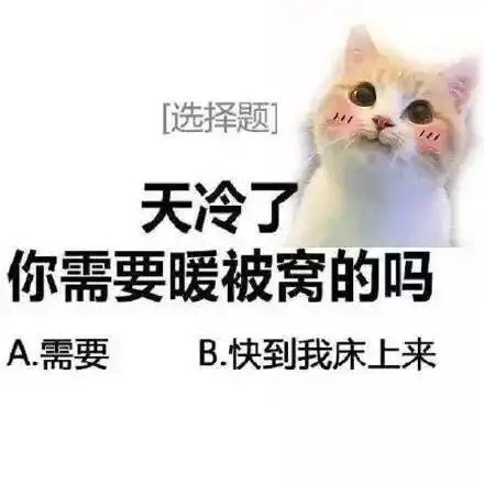 表情包天冷了,你需要暖被窝的吗