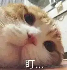 提醒停车后先熄火还是先关空调做错了后果很严重