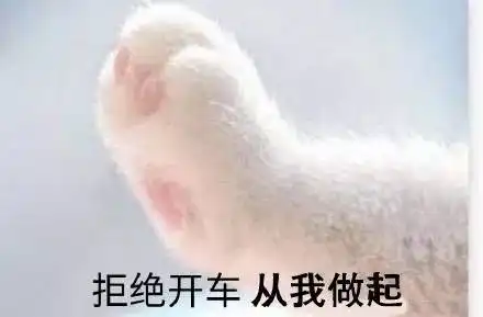 沙雕表情包让我看看今天的沙雕是谁