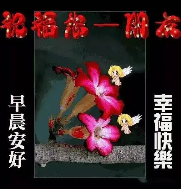 烦恼的心绪,可以抛了野蛮的女友,可以甩了,早安