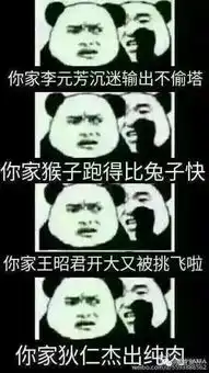 王者荣耀斗图表情包第八期你家小乔带狂暴