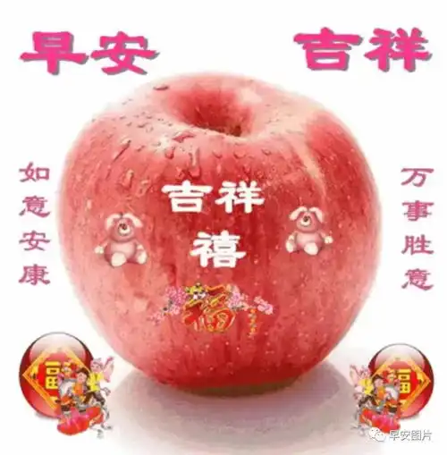 2023.11.17早安暖心祝福语,创意图片问候,冬日温馨祝福语