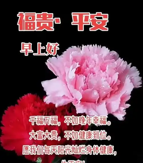 11月17日周五早上好,精选早安创意祝福图片带字表情包问候语大全