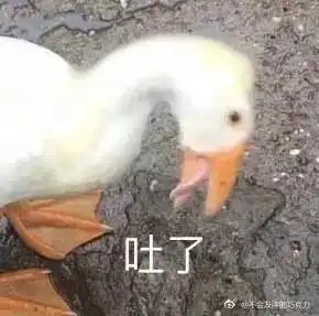 大妈暴雨中捡车牌,车主50元想拿回被嫌少我不要钱,但不能白给