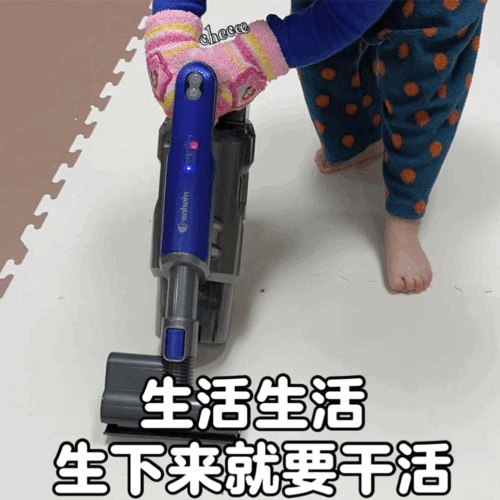 表情包铁锅炖自己