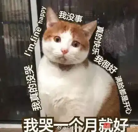 暴雨突袭,快get下这份出行指南