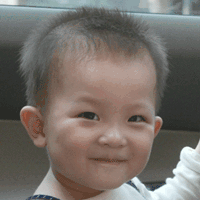 搞笑gif段子狗我真的不是你们儿子,你们认错狗了语言不通,牛不解