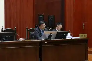 权.动态称电视剧楚乔传涉嫌侵权播出平台拒付1.2亿许可费