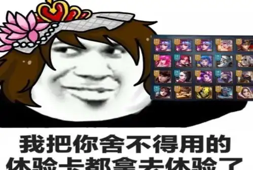 王者荣耀7个让人崩溃的操作,我和你多大仇多大怨放开我的号