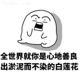 圣母婊表情包大全下载圣母婊什么梗表情图片高清完整版极光下载站