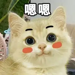 猫咬被子表情包图片