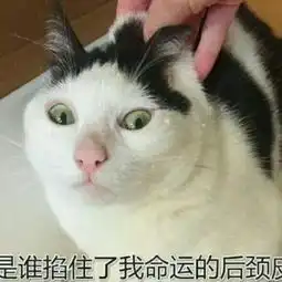 张小懒的减肥日记的美拍