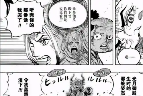 海贼王最违和的角色设定是谁那绝对就是凯多的傻儿子,大和了