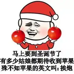 表情与斗图64圣诞节表情包