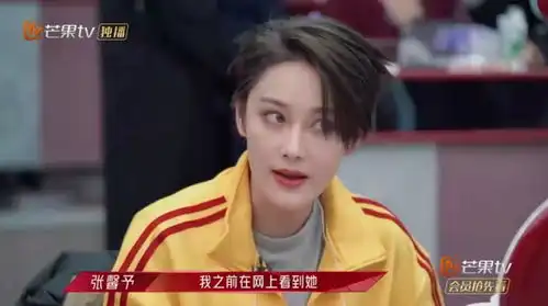 浪姐2张馨予四公遭淘汰,或是撞型蒋璐霞但却没对方的武功