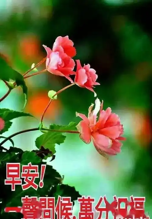 走过一些路,才知道辛苦登过一些山,才知道艰难,早安