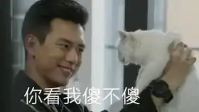 为武汉捐款,武汉加油