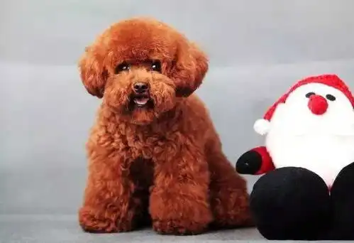 开心一刻年近三十还没对象,老妈催得急,今天非拉着我去相亲