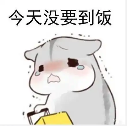 仓鼠真的适合当宠物吗