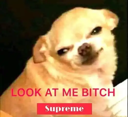 11月30日的快乐源泉