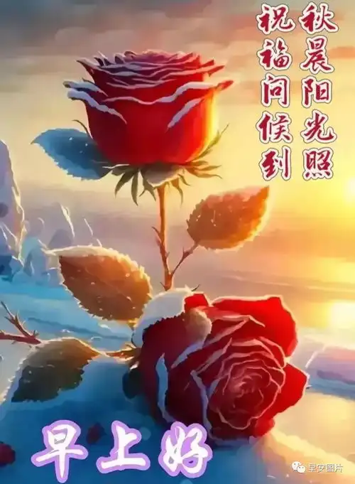 晚上好图片,晚上好问候语,晚安美图,好眠美梦