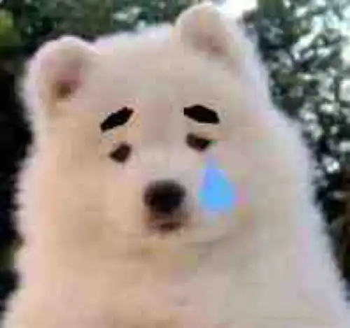 视频里常用的表情包分享