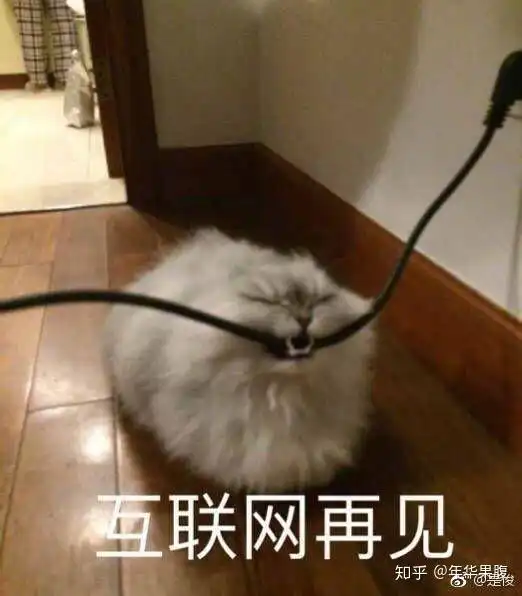 为什么我见黑双笙的人女生占比重非常大