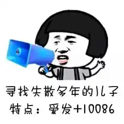 表情定制老司机,恨死不偿命,寻找失散多年的儿子