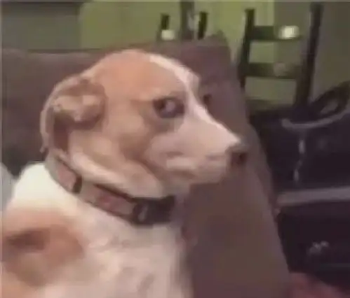 中考倒计时2个月,这群学生被班主任和学校卖了