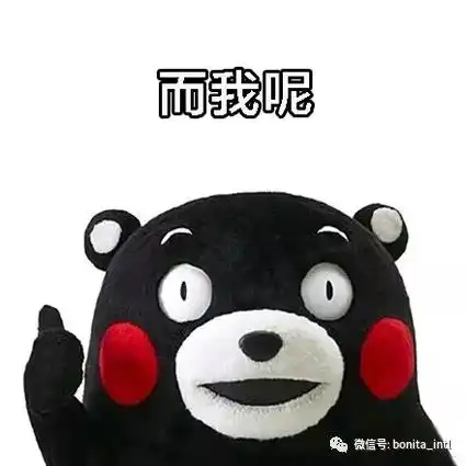 这次,博美达又给了我难忘一天