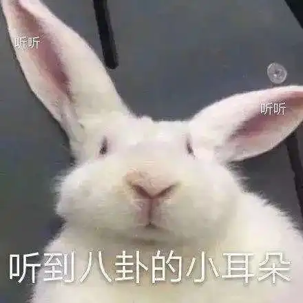 最后的快乐老家在豆瓣小组找到同好一起冲浪