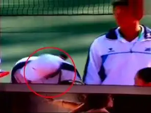 实拍2001年全运会李娜获第三领奖时疑遭扇耳光