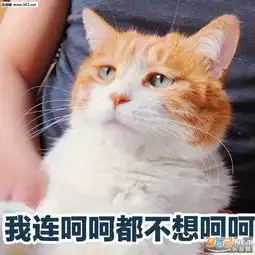 性感渣男在线陪玩表情包我连呵呵都不想呵呵表情包图片下载乐游网游戏下载