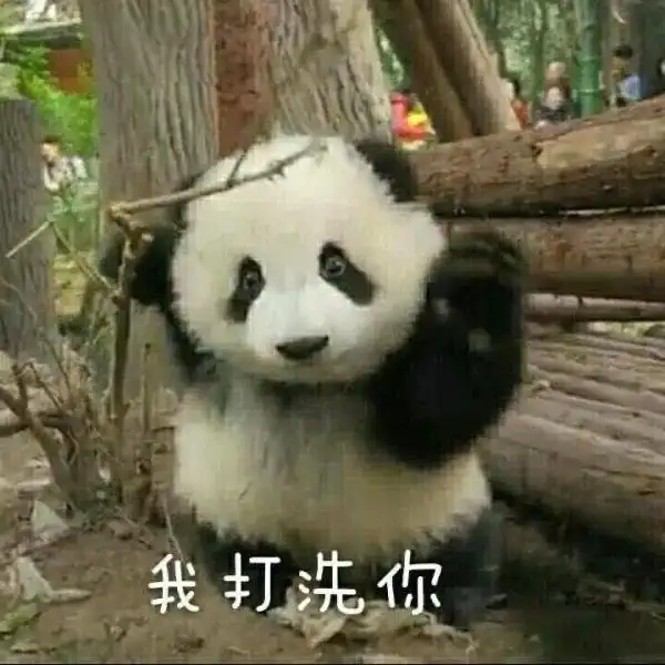 恶搞表情包熊猫熊猫