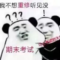 期末考试用表情包答题