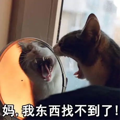 萌宠表情包妈,我东西找不到了