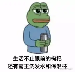 新一代年轻人的养生朋克养生法