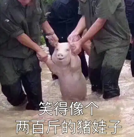 还去香港干嘛日本都比香港折扣大