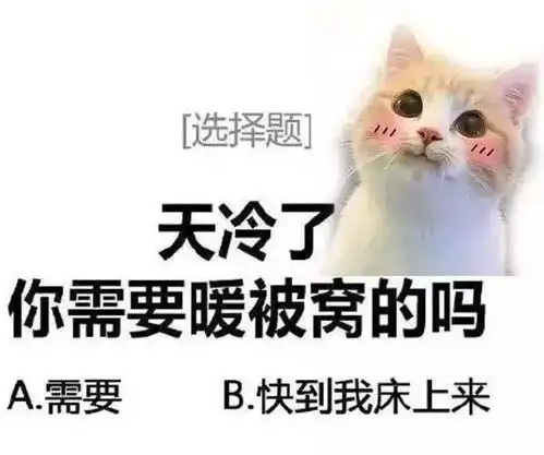 这次北方人赢了深大人最近很需要这些抗寒神器