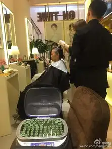 孙俪变表情包新鲜出炉与米老鼠玩合影