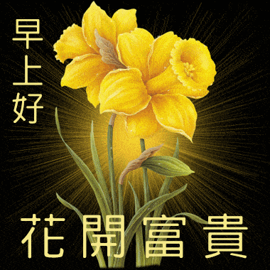 11月27日早上好动态表情包图案,祝家人们平安健康开心快乐每一天