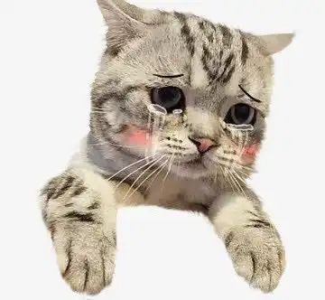 哭泣猫咪免抠png素材新图网ixintu.com小猫png免抠素材