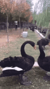 小姐姐,你这套路的表情真是太逗了,哈哈哈