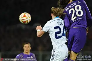 高清图戈麦斯天神下凡返巅峰蒙特拉表情抢镜