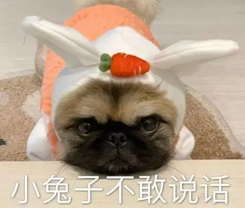 汪星人表情包第29期老实本分的我为什么没有人爱