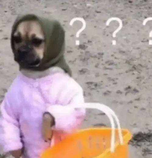 逗我呢还没上班就下班了