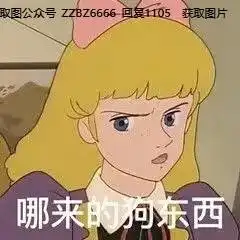 小公主莎拉表情包合集丨近期热门莎拉表情包合集